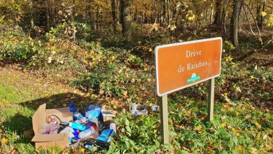 « Il y a des habitants qui s’en moquent vraiment »… Les maires de France face au fléau des décharges sauvages